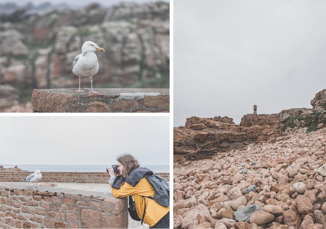 le meilleur de l'île de Bréhat