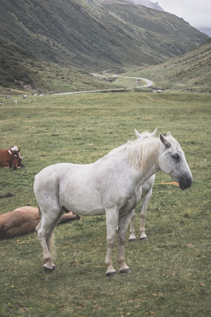 Découvrir le Vorarlberg, en Autriche ? Emprunter la Silvretta.