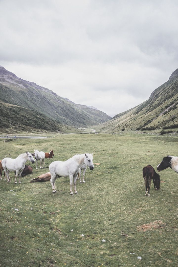 Découvrir le Vorarlberg, en Autriche ? Emprunter la Silvretta.