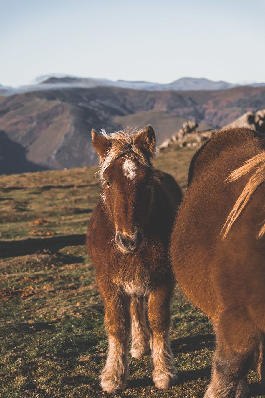 Que faire au Pays basque côté terre?