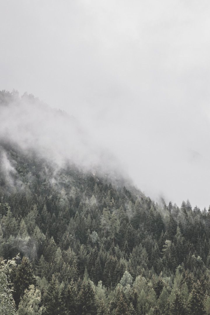 Alpes autrichiennes : que voir dans le Tyrol ?