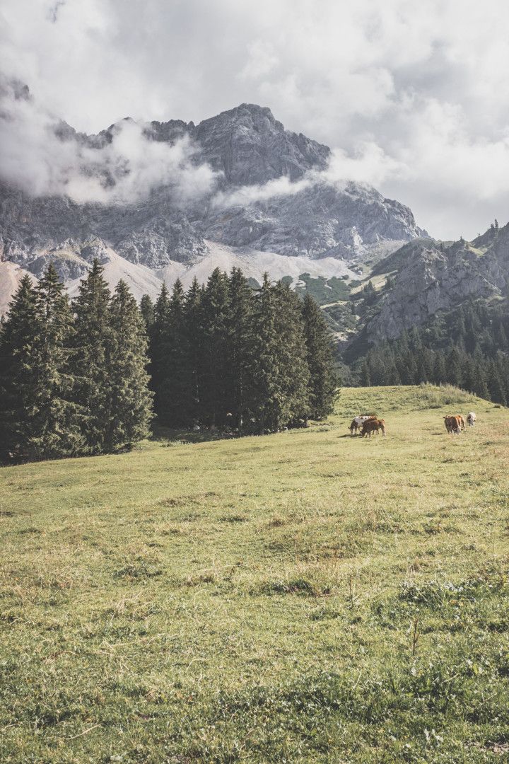 Alpes autrichiennes : que voir dans le Tyrol ?