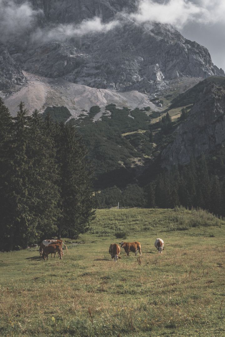 Alpes autrichiennes : que voir dans le Tyrol ?