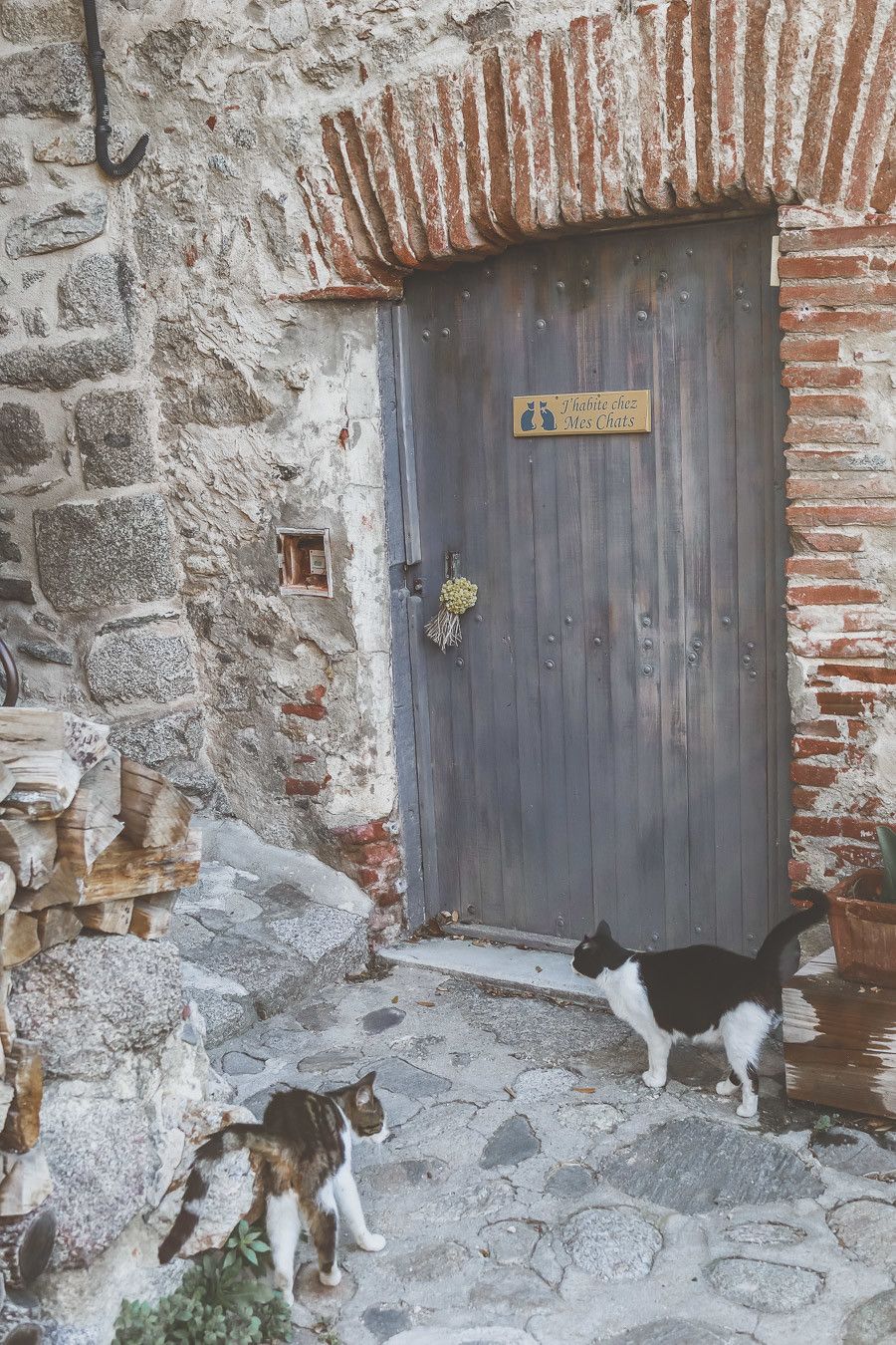 Que voir dans les Pyrénées Orientales ?