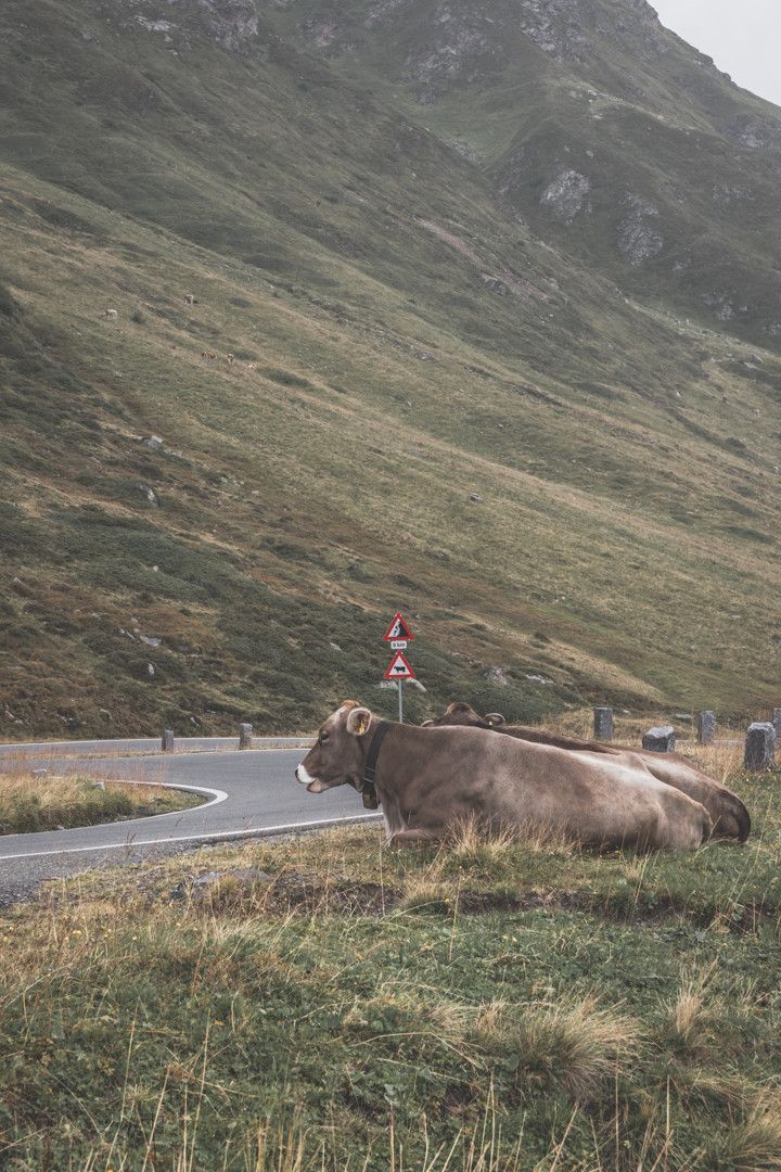 Découvrir le Vorarlberg, en Autriche ? Emprunter la Silvretta.