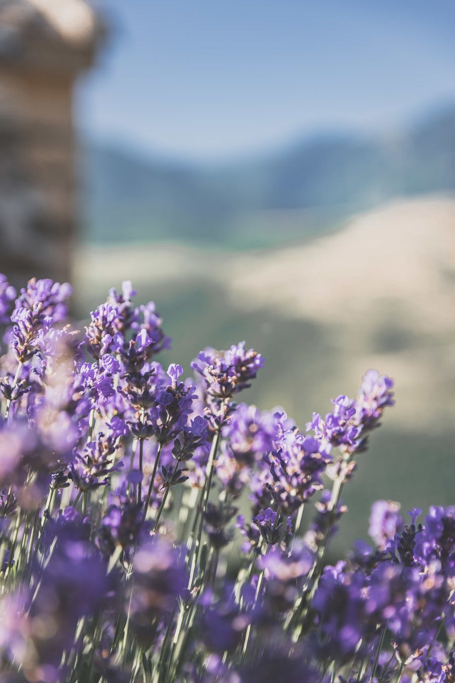 Que voir dans les Pyrénées Orientales ?