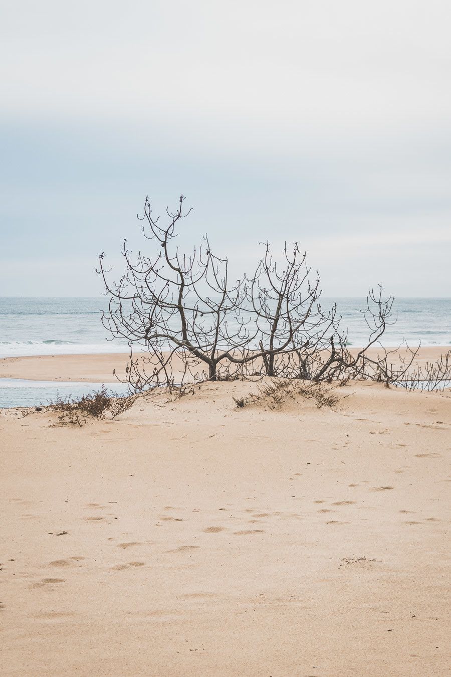 Envie de visiter le Bassin d’Arcachon ? Vous n’avez jamais eu la chance de monter la dune du Pilat ? Cet article est fait pour vous. Partez à la découverte du Cap Ferret, de la ville d’hiver d’Arcachon et des jolis villages ostréicoles lors d’un week-end bien mérité. #roadtrip #nouvelleaquitaine #france #vacances / Bassin d’Arcachon / Arcachon bassin / Gironde France / Gironde tourisme / Gironde paysage / Gironde visite / Nouvelle Aquitaine France