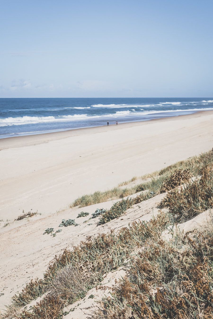 Tu ne sais pas que faire dans les Landes ? Tu rêves de plages de sable fin et de coins nature sans prendre l’avion ? Les Landes sont faites pour toi ! Retrouve dans notre article détaillé quoi faire dans les Landes, que voir et que visiter, entre jolies plages et villages de charme, réserves naturelles… #roadtrip #landes #nouvelleaquitaine #france / Vacances en France / Vacances plage / France paysage / Landes paysage / Landes tourisme / Landes plage / Landes France / Voyage en France / Voyage nature