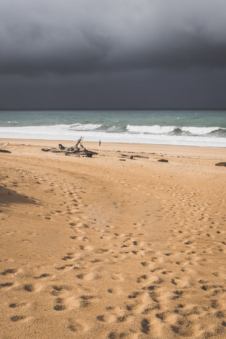 Tu prévois de visiter les Landes ? Tu rêves de plages de sable fin et de coins nature sans prendre l’avion ? Les Landes sont faites pour toi ! Retrouve dans notre article détaillé quoi faire dans les Landes, que voir et que visiter, entre jolies plages et villages de charme, réserves naturelles… #roadtrip #landes #nouvelleaquitaine #france / Vacances en France / Vacances plage / France paysage / Landes paysage / Landes tourisme / Landes plage / Landes France / Voyage en France / Voyage nature