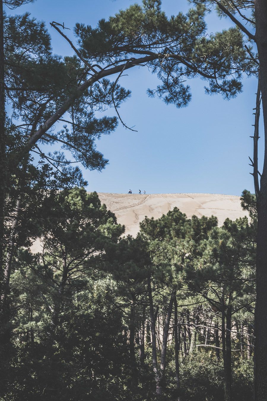 Envie de visiter le Bassin d’Arcachon ? Vous n’avez jamais eu la chance de monter la dune du Pilat ? Cet article est fait pour vous. Partez à la découverte du Cap Ferret, de la ville d’hiver d’Arcachon et des jolis villages ostréicoles lors d’un week-end bien mérité. #roadtrip #nouvelleaquitaine #france #vacances / Bassin d’Arcachon / Arcachon bassin / Gironde France / Gironde tourisme / Gironde paysage / Gironde visite / Nouvelle Aquitaine France