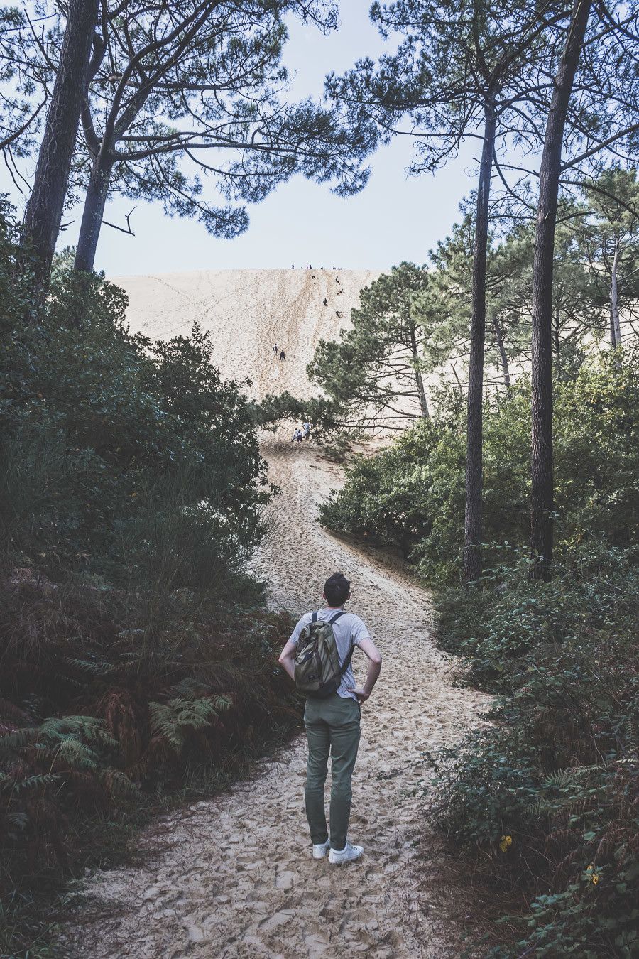 Envie de visiter le Bassin d’Arcachon ? Vous n’avez jamais eu la chance de monter la dune du Pilat ? Cet article est fait pour vous. Partez à la découverte du Cap Ferret, de la ville d’hiver d’Arcachon et des jolis villages ostréicoles lors d’un week-end bien mérité. #roadtrip #nouvelleaquitaine #france #vacances / Bassin d’Arcachon / Arcachon bassin / Gironde France / Gironde tourisme / Gironde paysage / Gironde visite / Nouvelle Aquitaine France