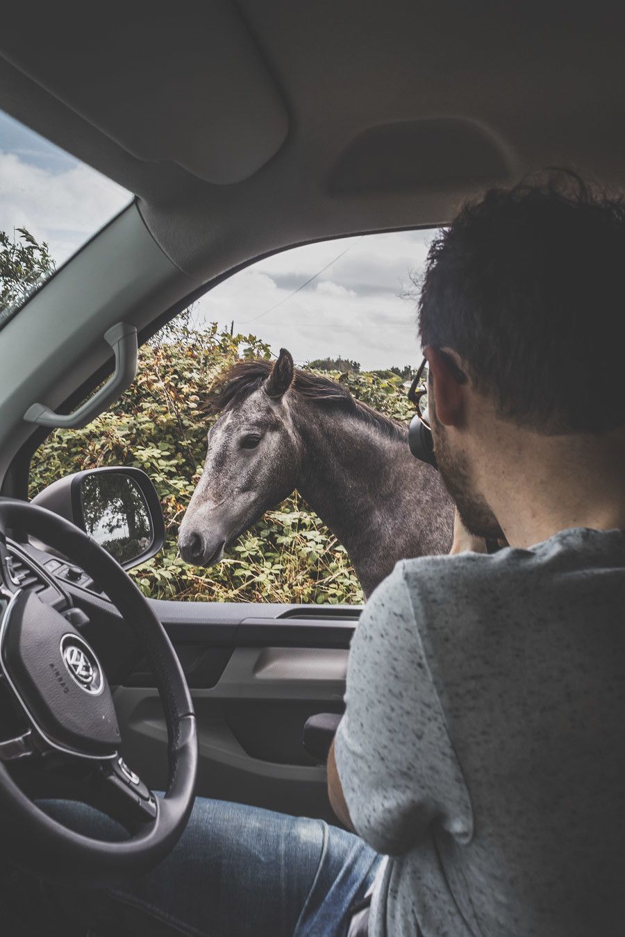 photo cheval road trip irlande