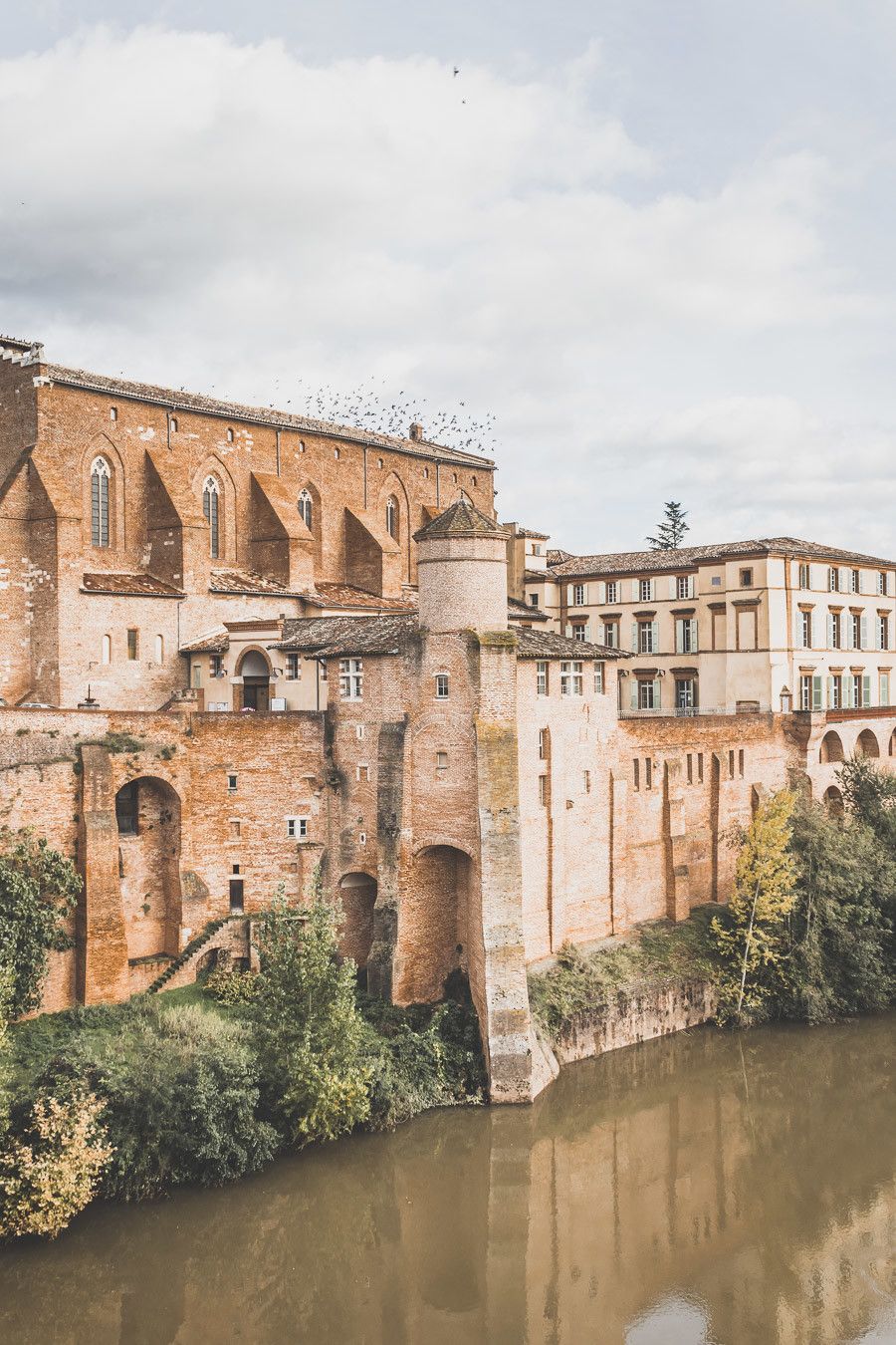 Visiter le Tarn - Sortie depuis Toulouse