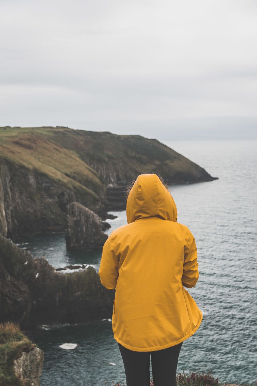 Vue sur les falaises du comté de Cork - Old Head of Kinsale