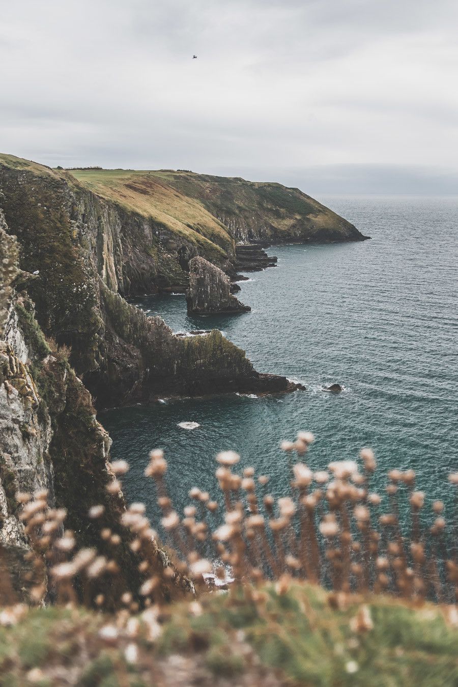 Les falaises découpées du sud de l'Irlande