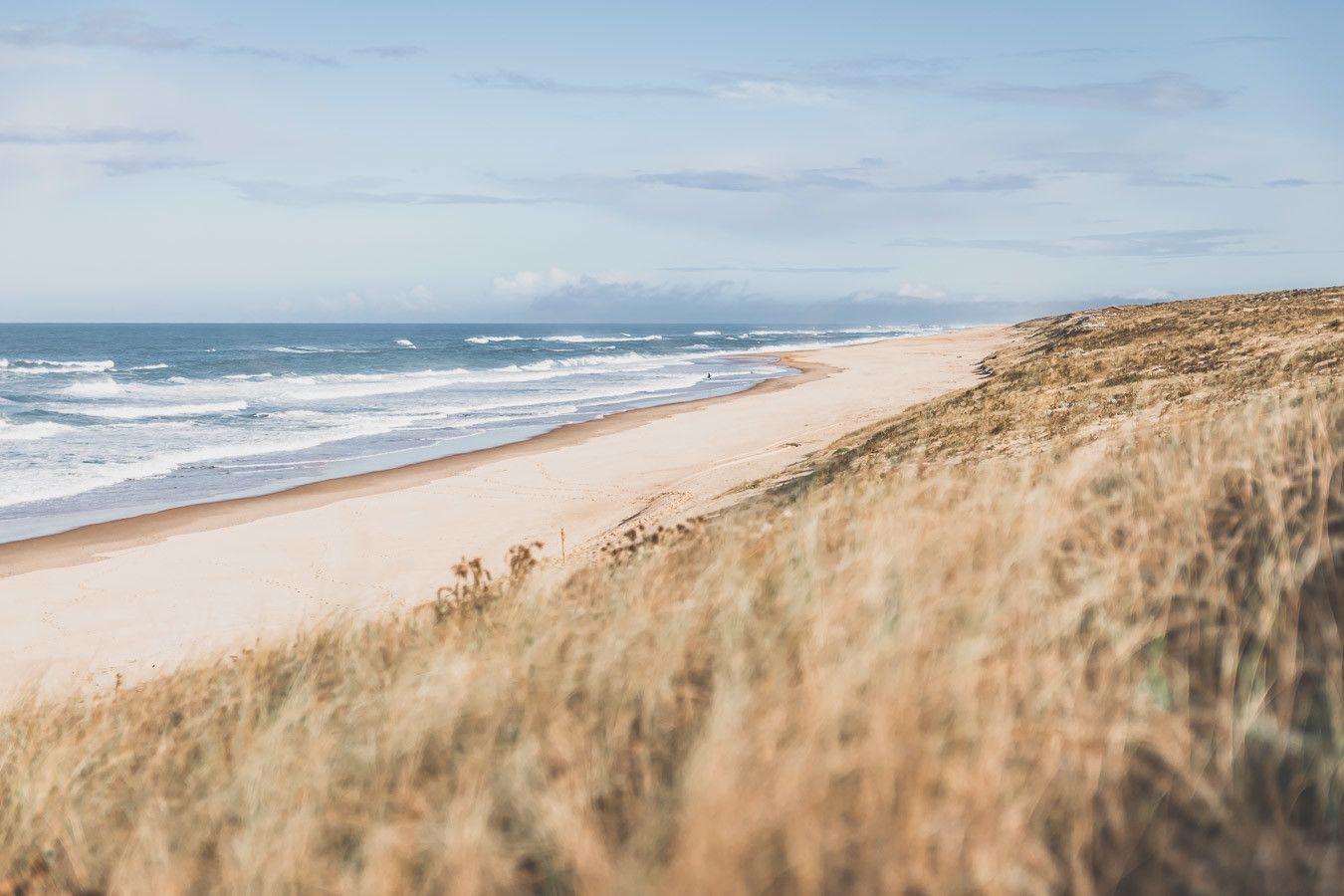 Tu prévois de visiter les Landes ? Tu rêves de plages de sable fin et de coins nature sans prendre l’avion ? Les Landes sont faites pour toi ! Retrouve dans notre article détaillé quoi faire dans les Landes, que voir et que visiter, entre jolies plages et villages de charme, réserves naturelles… #roadtrip #landes #nouvelleaquitaine #france / Vacances en France / Vacances plage / France paysage / Landes paysage / Landes tourisme / Landes plage / Landes France / Voyage en France / Voyage nature