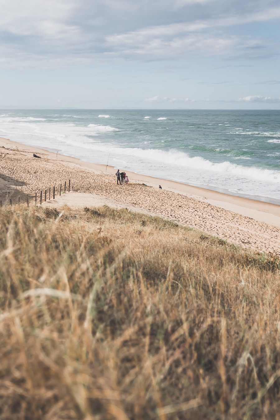 Tu prévois de visiter les Landes ? Tu rêves de plages de sable fin et de coins nature sans prendre l’avion ? Les Landes sont faites pour toi ! Retrouve dans notre article détaillé quoi faire dans les Landes, que voir et que visiter, entre jolies plages et villages de charme, réserves naturelles… #roadtrip #landes #nouvelleaquitaine #france / Vacances en France / Vacances plage / France paysage / Landes paysage / Landes tourisme / Landes plage / Landes France / Voyage en France / Voyage nature