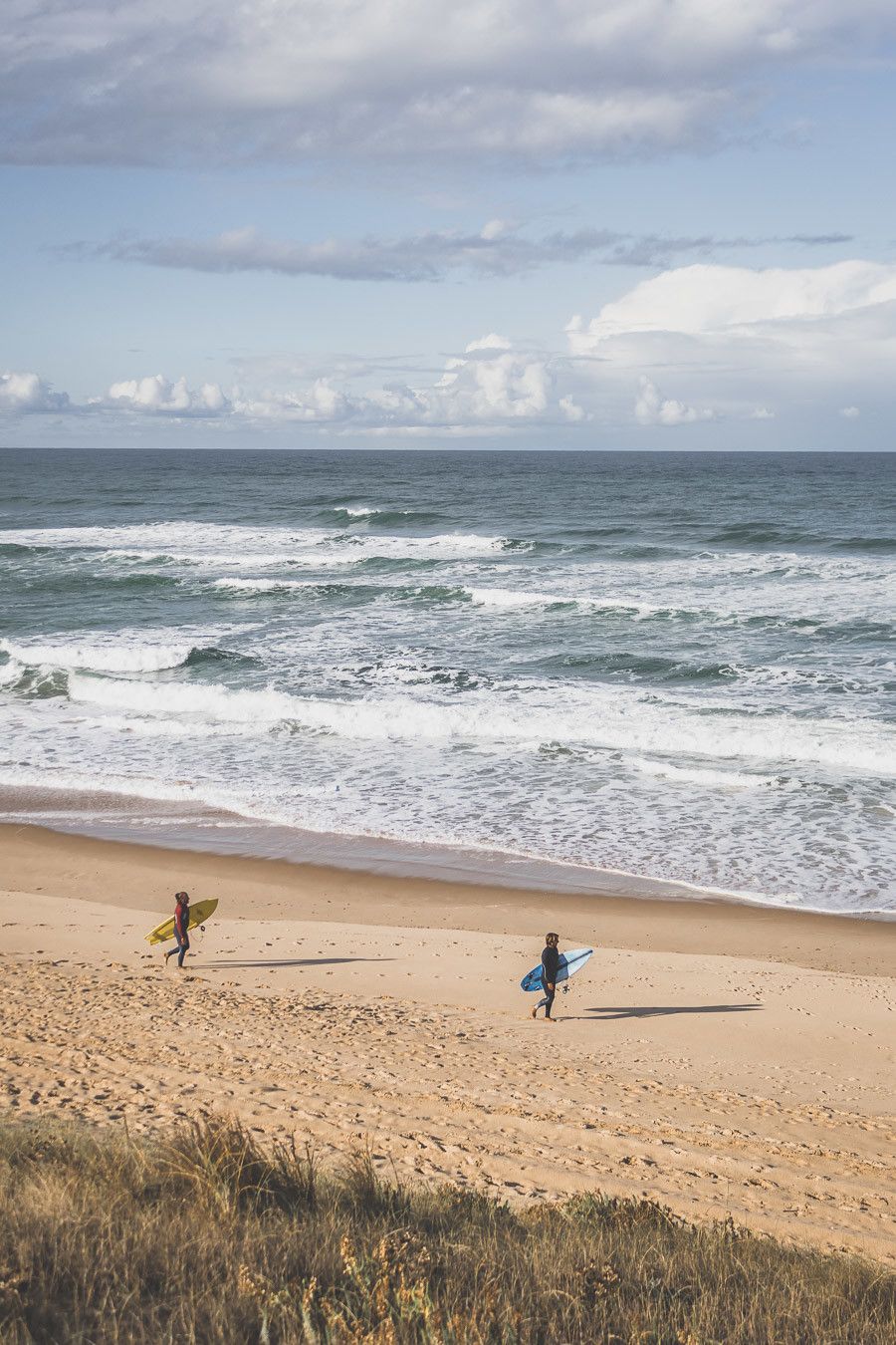 Tu prévois de visiter les Landes ? Tu rêves de plages de sable fin et de coins nature sans prendre l’avion ? Les Landes sont faites pour toi ! Retrouve dans notre article détaillé quoi faire dans les Landes, que voir et que visiter, entre jolies plages et villages de charme, réserves naturelles… #roadtrip #landes #nouvelleaquitaine #france / Vacances en France / Vacances plage / France paysage / Landes paysage / Landes tourisme / Landes plage / Landes France / Voyage en France / Voyage nature