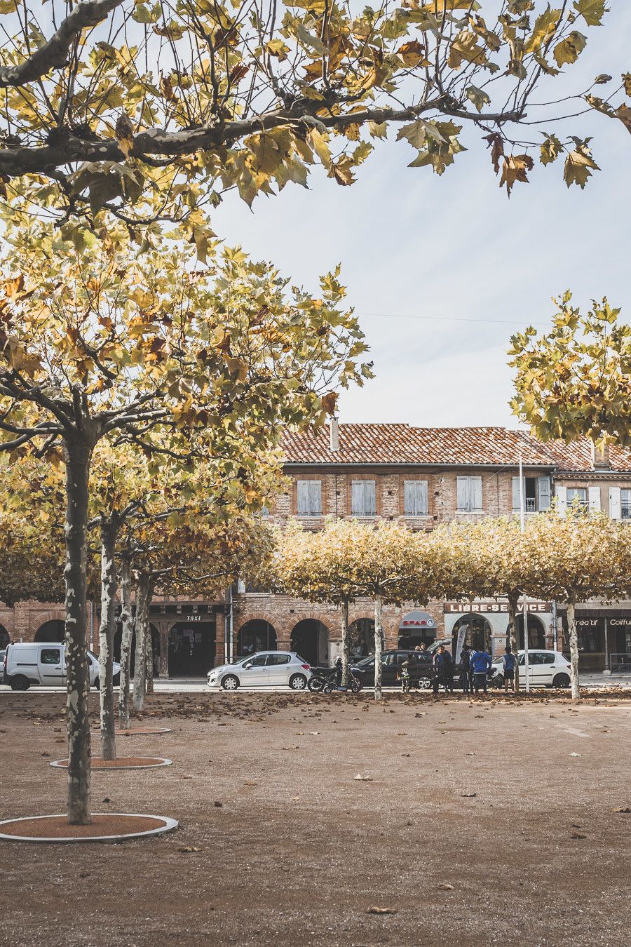 Visiter le Tarn - Sortie depuis Toulouse