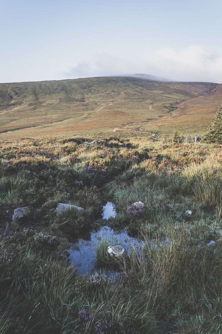 Vous rêvez ou planifiez un road trip en Irlande ? Vous partez en vacances à Dublin et souhaitez faire une excursion en dehors de la ville ? Pensez au Parc National des Montagnes de Wicklow ! C’est un paradis pour les randonneurs et pour les amoureux de grands espaces. Irlande road trip / Road trip Irlande / Irlande paysage / Irlande voyage / Voyage Irlande / Voyage en Irlande / Dublin / Wicklow ireland / Wicklow mountains / Wicklow Mountains National Park