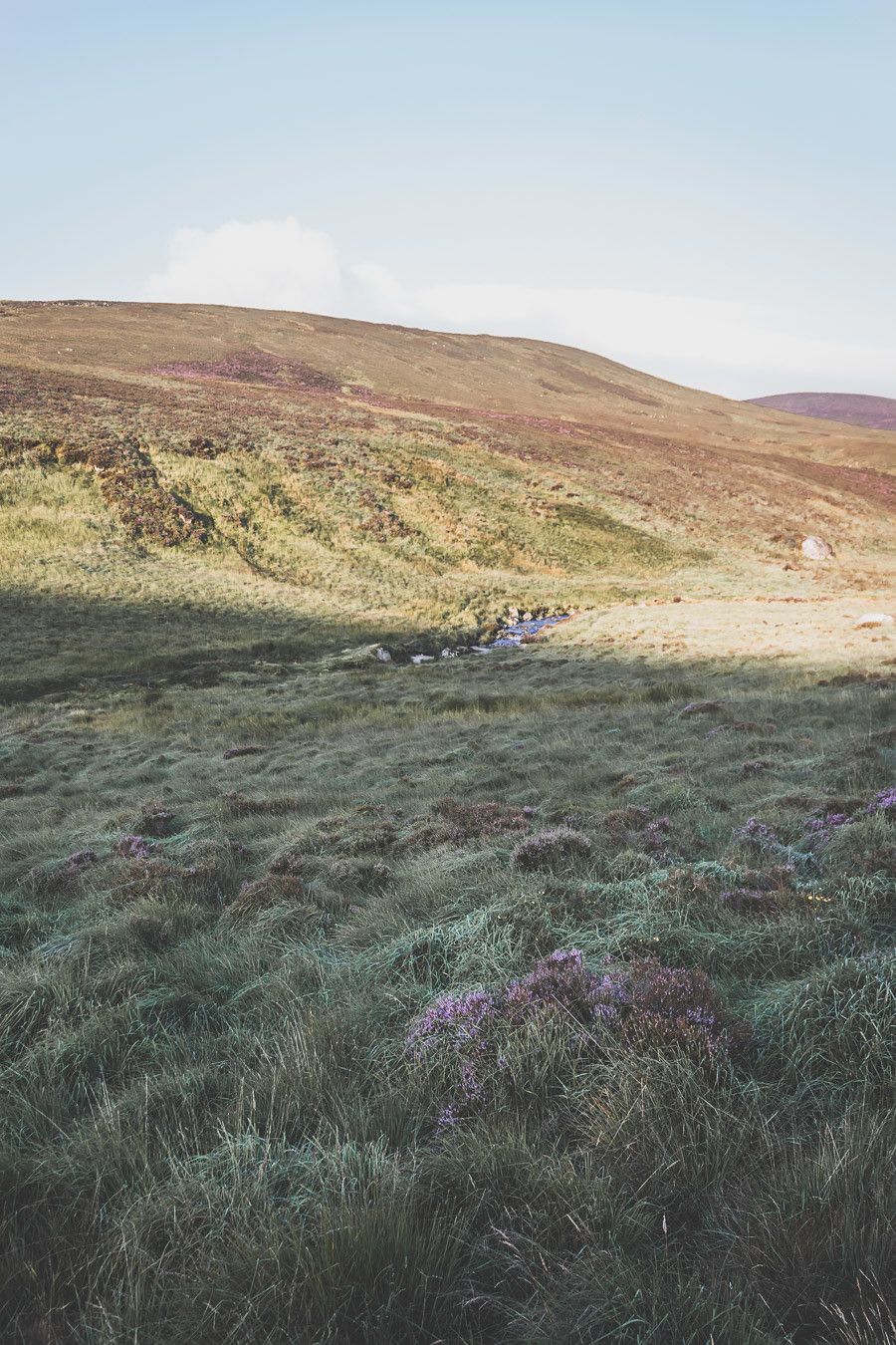 Vous rêvez ou planifiez un road trip en Irlande ? Vous partez en vacances à Dublin et souhaitez faire une excursion en dehors de la ville ? Pensez au Parc National des Montagnes de Wicklow ! C’est un paradis pour les randonneurs et pour les amoureux de grands espaces. Irlande road trip / Road trip Irlande / Irlande paysage / Irlande voyage / Voyage Irlande / Voyage en Irlande / Dublin / Wicklow ireland / Wicklow mountains / Wicklow Mountains National Park