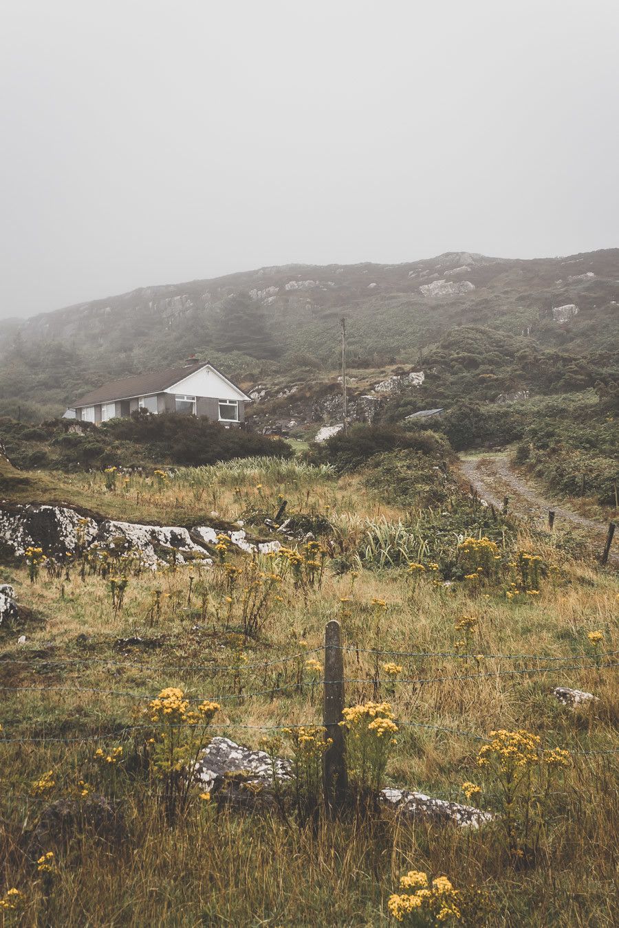 Les petites maisons du comté de Cork