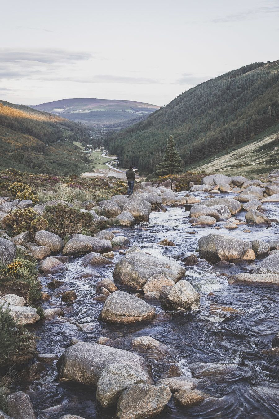 Vous rêvez ou planifiez un road trip en Irlande ? Vous partez en vacances à Dublin et souhaitez faire une excursion en dehors de la ville ? Pensez au Parc National des Montagnes de Wicklow ! C’est un paradis pour les randonneurs et pour les amoureux de grands espaces. Irlande road trip / Road trip Irlande / Irlande paysage / Irlande voyage / Voyage Irlande / Voyage en Irlande / Dublin / Wicklow ireland / Wicklow mountains / Wicklow Mountains National Park