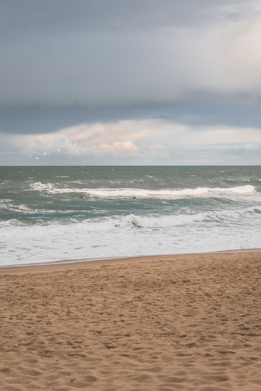 Tu prévois de visiter les Landes ? Tu rêves de plages de sable fin et de coins nature sans prendre l’avion ? Les Landes sont faites pour toi ! Retrouve dans notre article détaillé quoi faire dans les Landes, que voir et que visiter, entre jolies plages et villages de charme, réserves naturelles… #roadtrip #landes #nouvelleaquitaine #france / Vacances en France / Vacances plage / France paysage / Landes paysage / Landes tourisme / Landes plage / Landes France / Voyage en France / Voyage nature