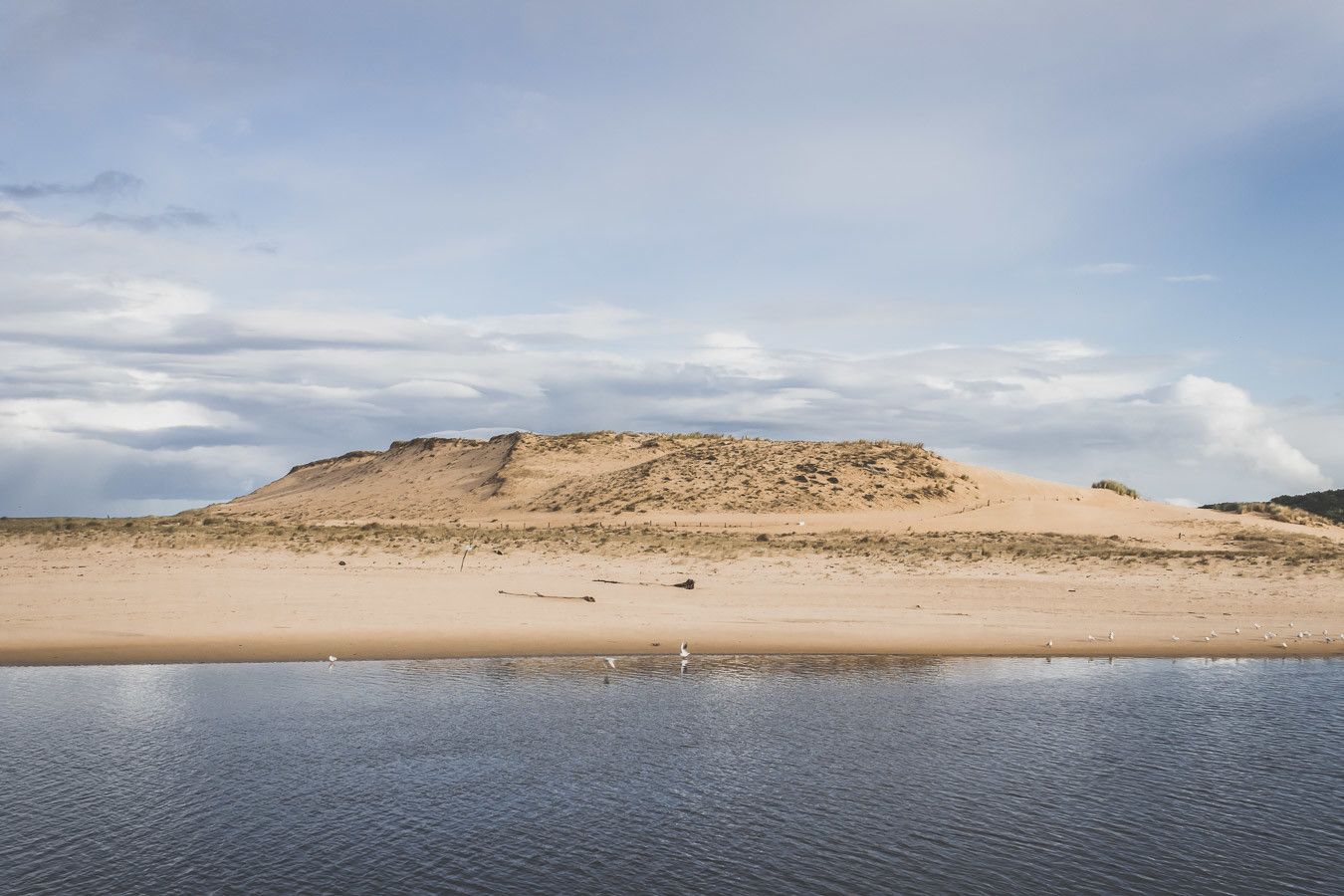 Tu ne sais pas que faire dans les Landes ? Tu rêves de plages de sable fin et de coins nature sans prendre l’avion ? Les Landes sont faites pour toi ! Retrouve dans notre article détaillé quoi faire dans les Landes, que voir et que visiter, entre jolies plages et villages de charme, réserves naturelles… #roadtrip #landes #nouvelleaquitaine #france / Vacances en France / Vacances plage / France paysage / Landes paysage / Landes tourisme / Landes plage / Landes France / Voyage en France / Voyage nature