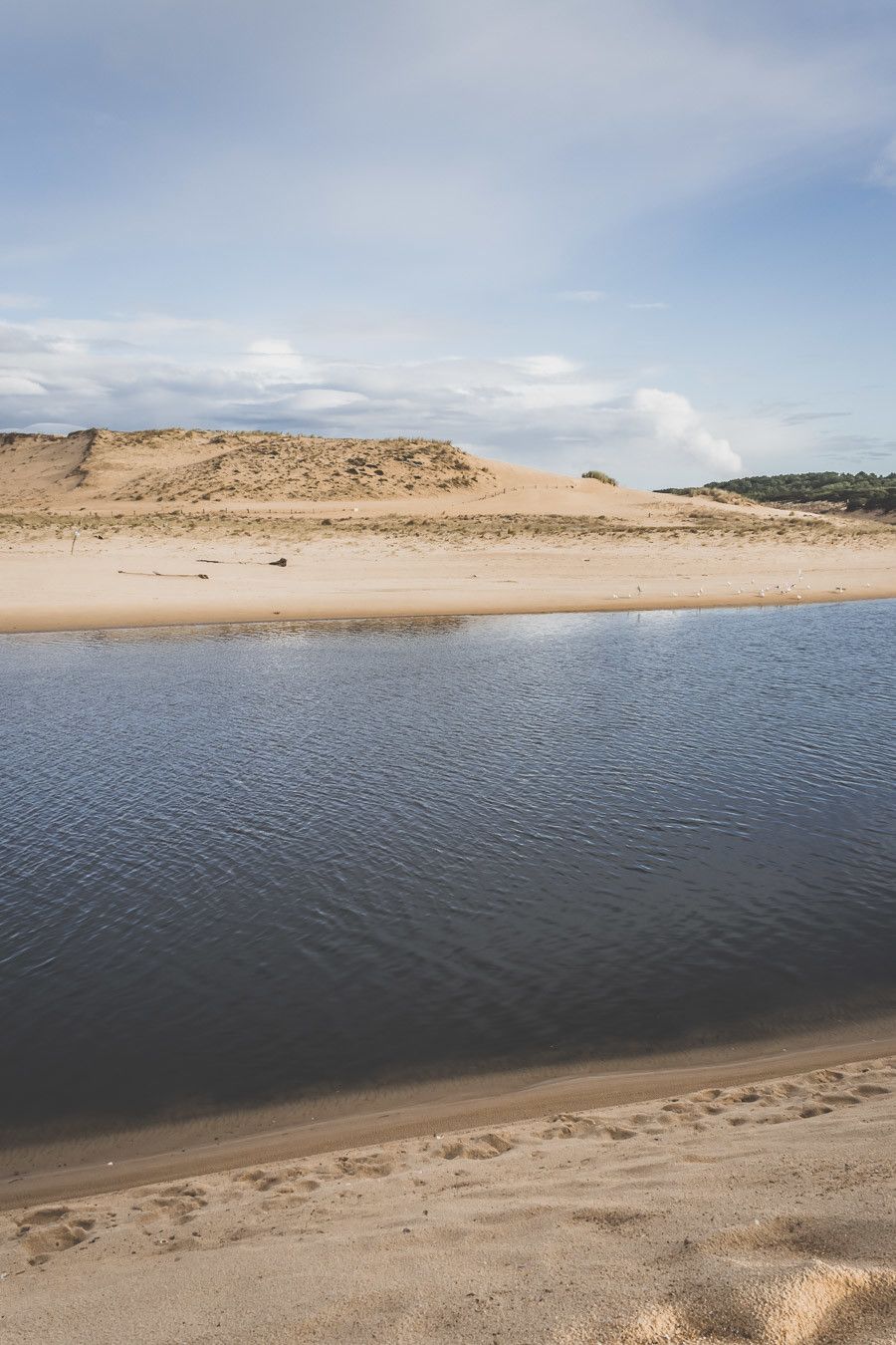 Tu prévois de visiter les Landes ? Tu rêves de plages de sable fin et de coins nature sans prendre l’avion ? Les Landes sont faites pour toi ! Retrouve dans notre article détaillé quoi faire dans les Landes, que voir et que visiter, entre jolies plages et villages de charme, réserves naturelles… #roadtrip #landes #nouvelleaquitaine #france / Vacances en France / Vacances plage / France paysage / Landes paysage / Landes tourisme / Landes plage / Landes France / Voyage en France / Voyage nature