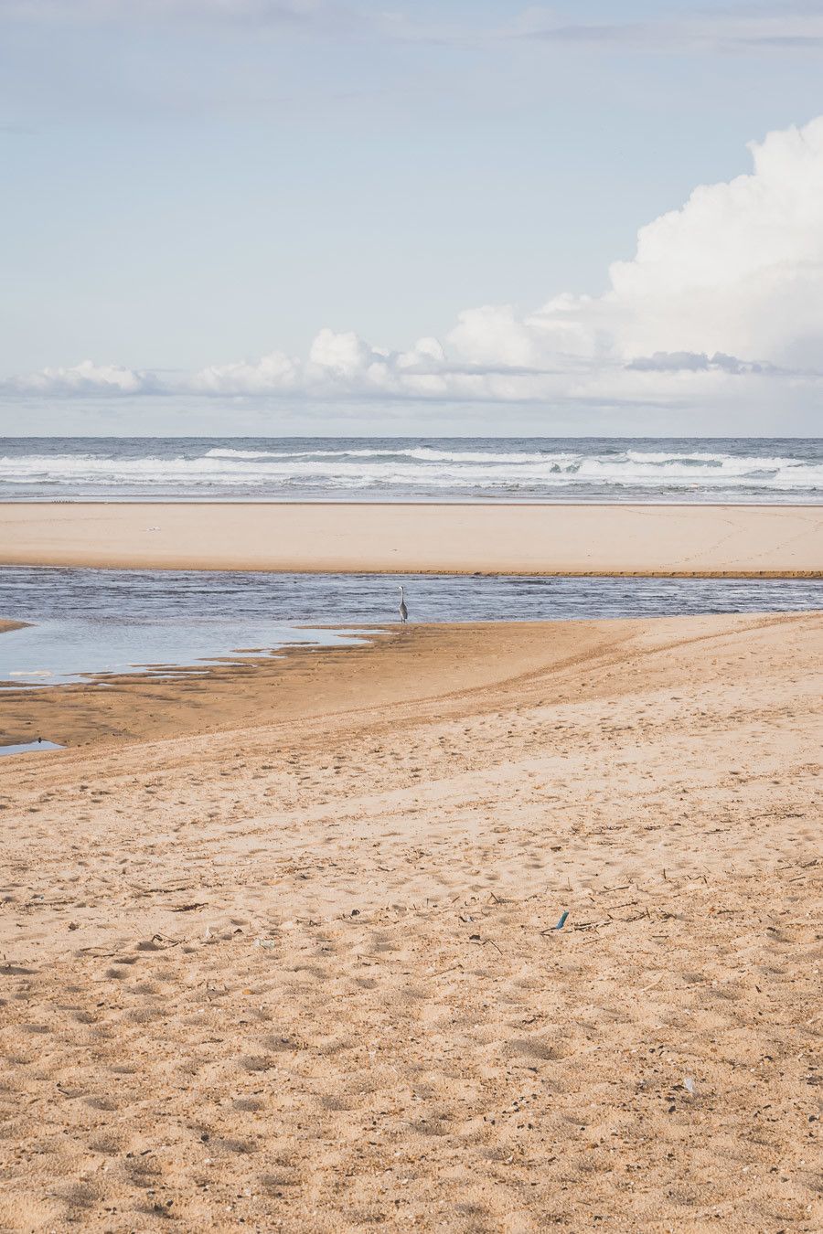 Tu prévois de visiter les Landes ? Tu rêves de plages de sable fin et de coins nature sans prendre l’avion ? Les Landes sont faites pour toi ! Retrouve dans notre article détaillé quoi faire dans les Landes, que voir et que visiter, entre jolies plages et villages de charme, réserves naturelles… #roadtrip #landes #nouvelleaquitaine #france / Vacances en France / Vacances plage / France paysage / Landes paysage / Landes tourisme / Landes plage / Landes France / Voyage en France / Voyage nature