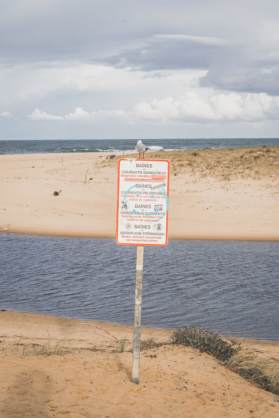 Tu prévois de visiter les Landes ? Tu rêves de plages de sable fin et de coins nature sans prendre l’avion ? Les Landes sont faites pour toi ! Retrouve dans notre article détaillé quoi faire dans les Landes, que voir et que visiter, entre jolies plages et villages de charme, réserves naturelles… #roadtrip #landes #nouvelleaquitaine #france / Vacances en France / Vacances plage / France paysage / Landes paysage / Landes tourisme / Landes plage / Landes France / Voyage en France / Voyage nature