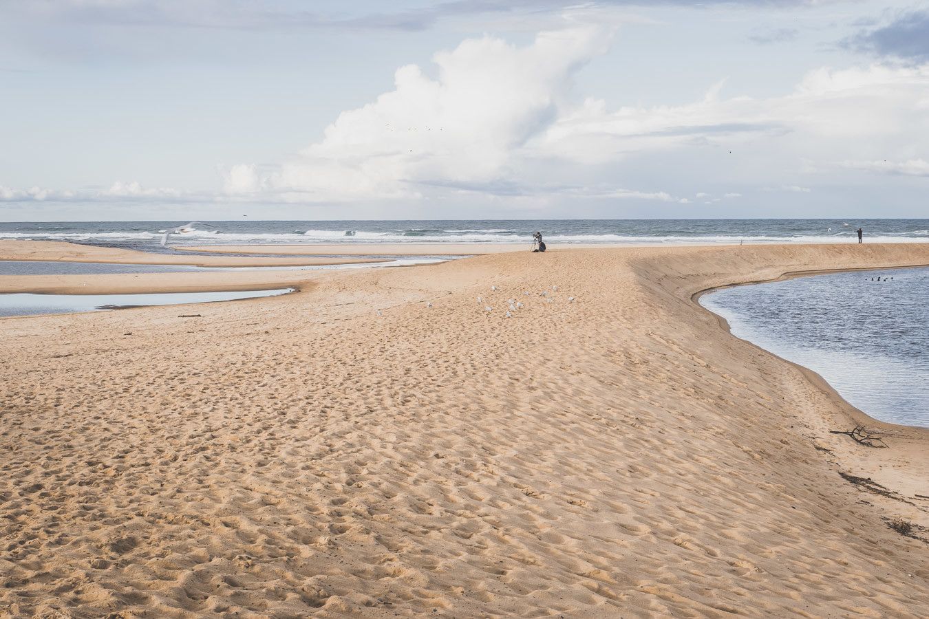 Tu prévois de visiter les Landes ? Tu rêves de plages de sable fin et de coins nature sans prendre l’avion ? Les Landes sont faites pour toi ! Retrouve dans notre article détaillé quoi faire dans les Landes, que voir et que visiter, entre jolies plages et villages de charme, réserves naturelles… #roadtrip #landes #nouvelleaquitaine #france / Vacances en France / Vacances plage / France paysage / Landes paysage / Landes tourisme / Landes plage / Landes France / Voyage en France / Voyage nature