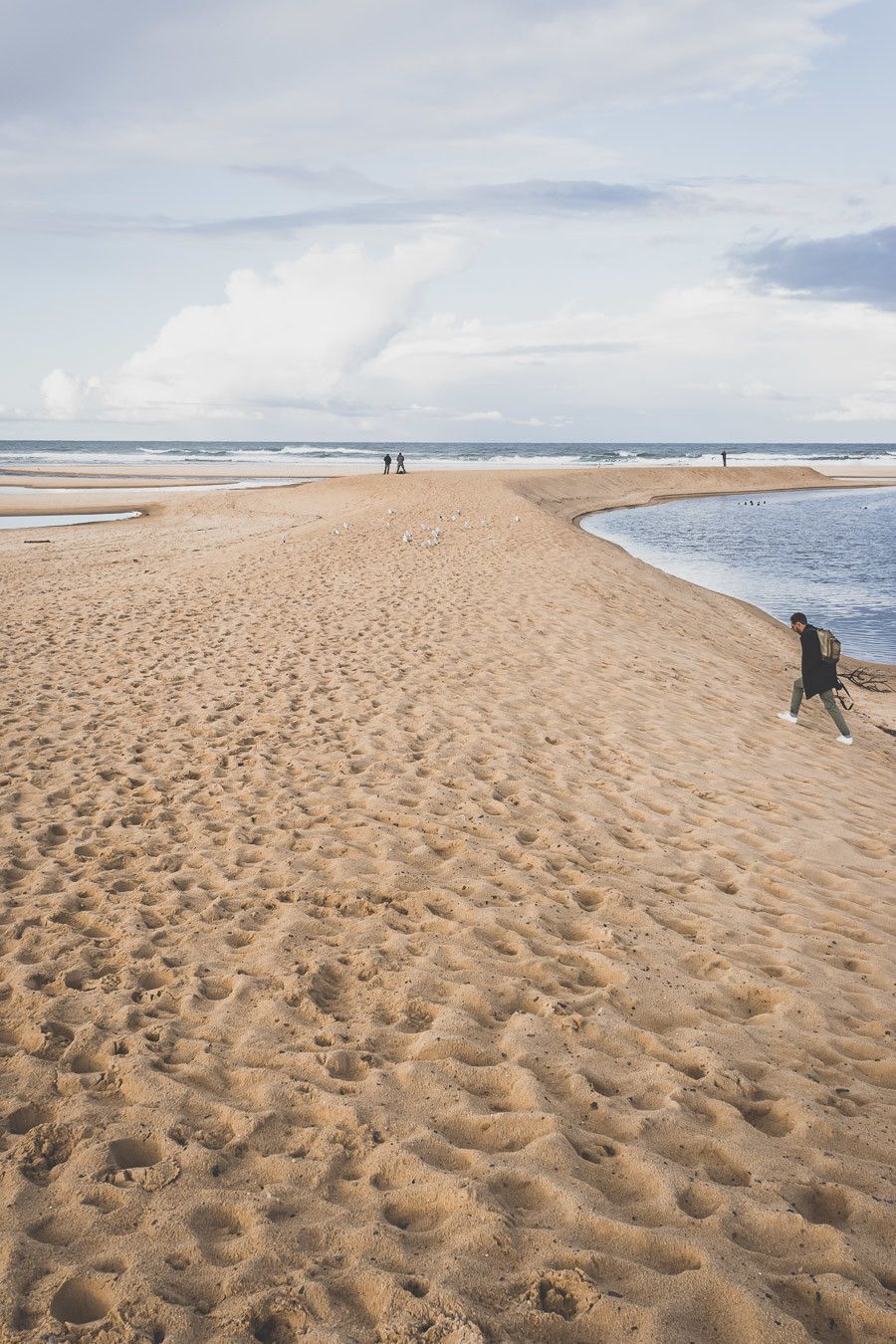 Tu prévois de visiter les Landes ? Tu rêves de plages de sable fin et de coins nature sans prendre l’avion ? Les Landes sont faites pour toi ! Retrouve dans notre article détaillé quoi faire dans les Landes, que voir et que visiter, entre jolies plages et villages de charme, réserves naturelles… #roadtrip #landes #nouvelleaquitaine #france / Vacances en France / Vacances plage / France paysage / Landes paysage / Landes tourisme / Landes plage / Landes France / Voyage en France / Voyage nature