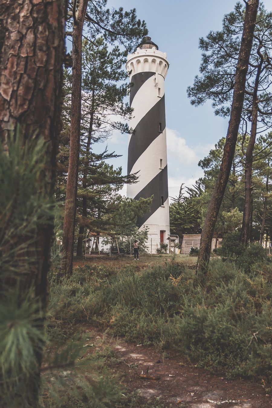 Tu ne sais pas que faire dans les Landes ? Tu rêves de plages de sable fin et de coins nature sans prendre l’avion ? Les Landes sont faites pour toi ! Retrouve dans notre article détaillé quoi faire dans les Landes, que voir et que visiter, entre jolies plages et villages de charme, réserves naturelles… #roadtrip #landes #nouvelleaquitaine #france / Vacances en France / Vacances plage / France paysage / Landes paysage / Landes tourisme / Landes plage / Landes France / Voyage en France / Voyage nature