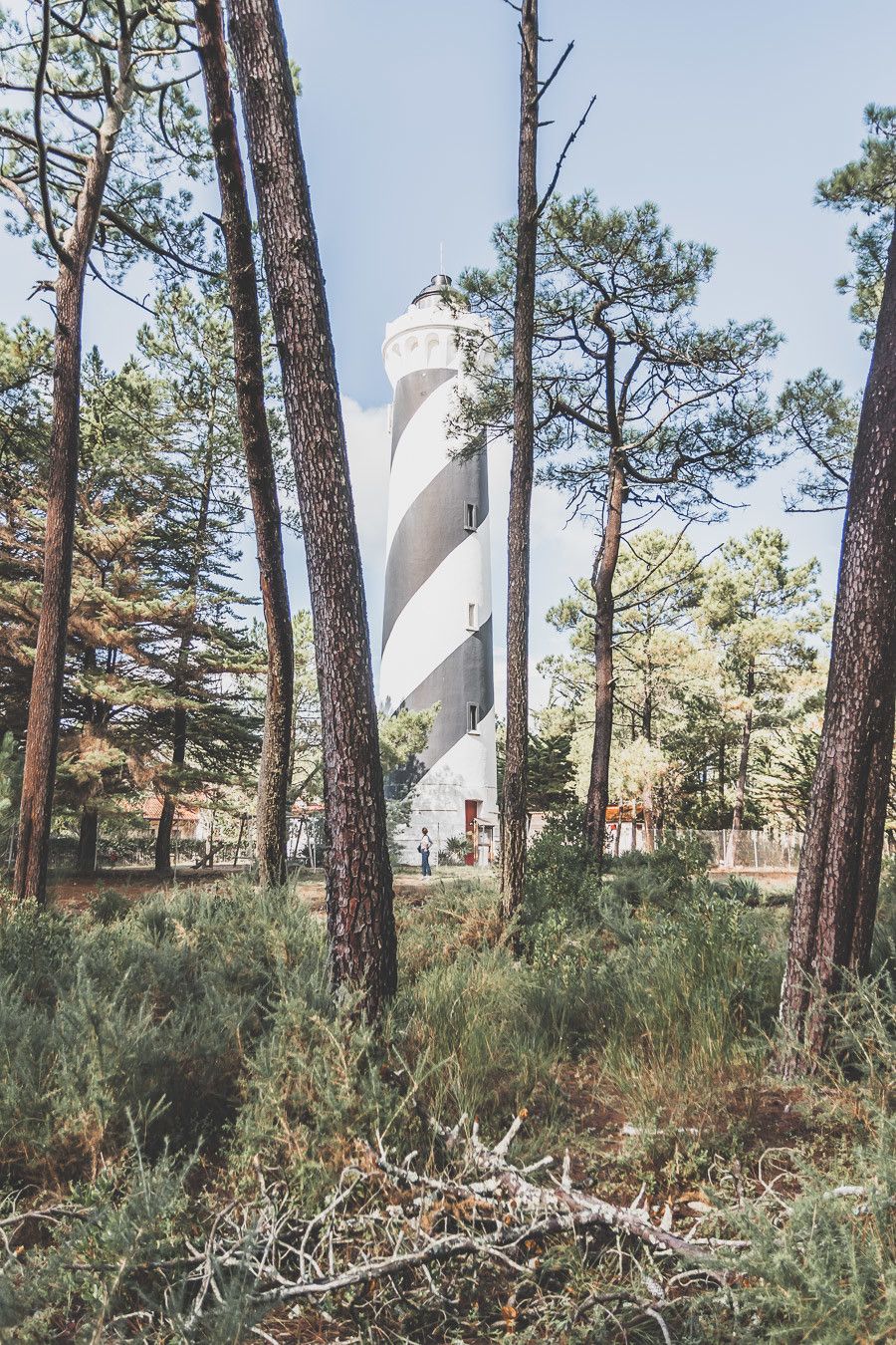 Tu ne sais pas que faire dans les Landes ? Tu rêves de plages de sable fin et de coins nature sans prendre l’avion ? Les Landes sont faites pour toi ! Retrouve dans notre article détaillé quoi faire dans les Landes, que voir et que visiter, entre jolies plages et villages de charme, réserves naturelles… #roadtrip #landes #nouvelleaquitaine #france / Vacances en France / Vacances plage / France paysage / Landes paysage / Landes tourisme / Landes plage / Landes France / Voyage en France / Voyage nature