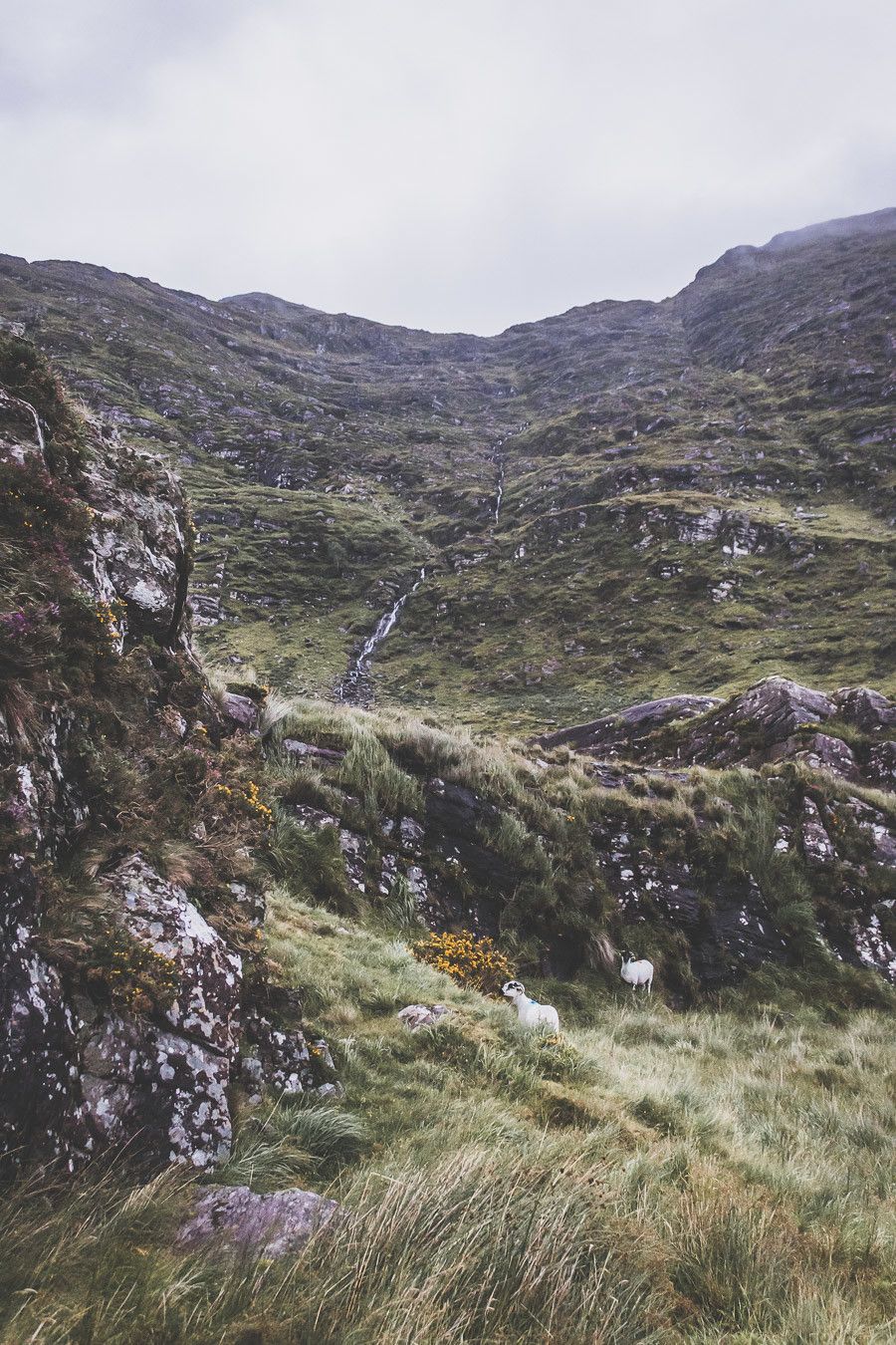 Road trip en Irlande, vue depuis la route sur le Ballaghbeama Gap