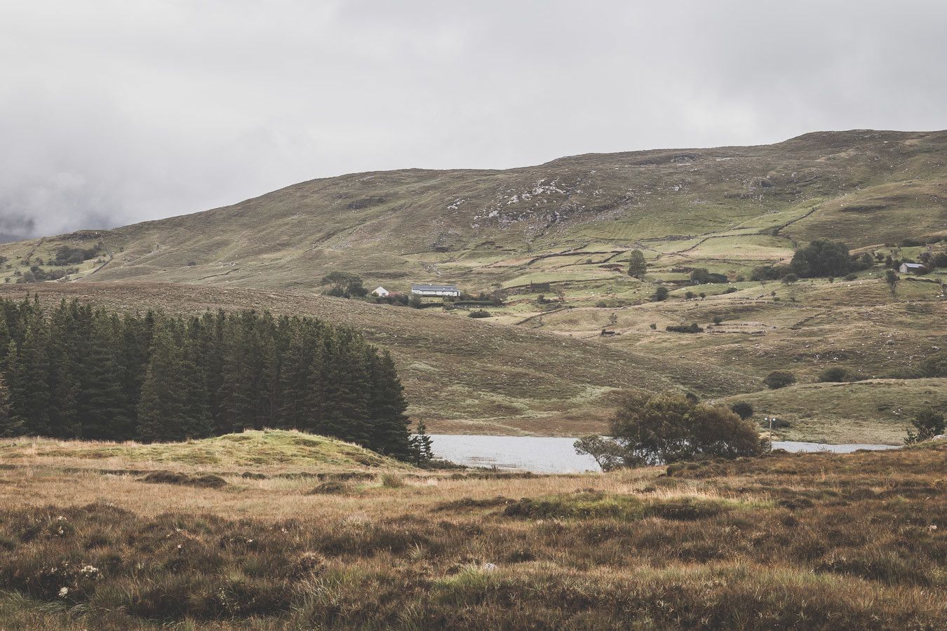 Vous souhaitez visiter le Connemara ? Découvrir la ville de Galway et ses alentours ? Ce guide est fait pour vous ! Il saura vous aiguiller / Irlande road trip / Road trip Irlande / Irlande paysage / Irlande voyage / Voyage Irlande / Irlande voyage / Voyage Irlande / Voyage en Irlande / Carnet de voyage en Irlande / Carnet voyage Irlande / Connemara Irlande / Connemara national park / Galway Ireland / Galway Irlande / Galway things to do