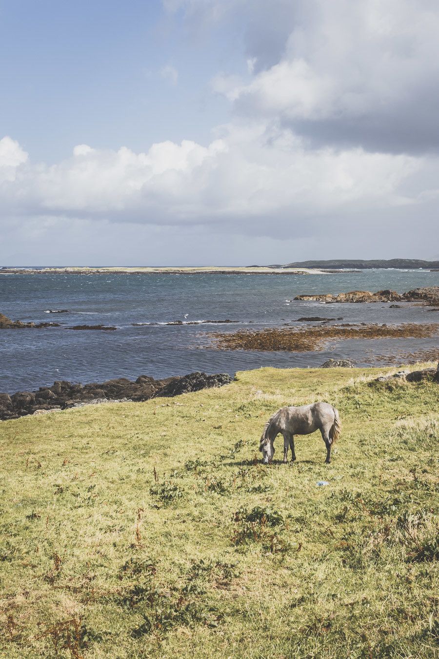 Vous vous demandez que faire en Irlande ? Quel itinéraire prendre en Irlande ? Que voir en Irlande ? Ce guide est fait pour vous. Retrouvez sur notre blog notre itinéraire détaillé de 11 jours en Irlande. Road trip Irlande / Irlande road trip / Irlande paysage / Irlande / Voyage Irlande / Voyage en Irlande / Carnet de voyage Irlande / Carnet voyage Irlande / Vacances Irlande / Road trip Europe / Road trip / Itinéraire Irlande / Irlande itinéraire / Vacances Irlande