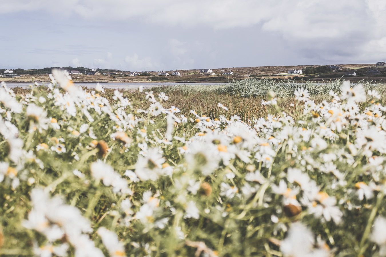 Vous planifiez un road trip en Irlande ? N’oubliez pas le comté de Donegal. Entre belles plages et falaises imposantes, ce comté saura vous surprendre et vous émerveiller. Vous trouverez dans cet article conseils pratiques et itinéraire. Irlande road trip / Road trip Irlande / Irlande paysage / Irlande / Donegal Ireland / Donegal things to do / Voyage Irlande / Voyage en Irlande / Carnet de voyage Irlande / Carnet voyage Irlande