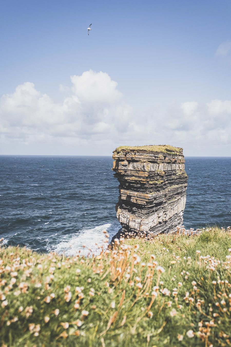 Falaises et herbes vertes - blog voyage Irlande