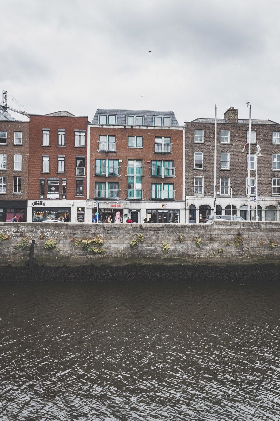 Vous vous demandez que faire en Irlande ? Quel itinéraire prendre en Irlande ? Que voir en Irlande ? Ce guide est fait pour vous. Retrouvez sur notre blog notre itinéraire détaillé de 11 jours en Irlande. Road trip Irlande / Irlande road trip / Irlande paysage / Irlande / Voyage Irlande / Voyage en Irlande / Carnet de voyage Irlande / Carnet voyage Irlande / Vacances Irlande / Road trip Europe / Road trip / Itinéraire Irlande / Irlande itinéraire / Vacances Irlande