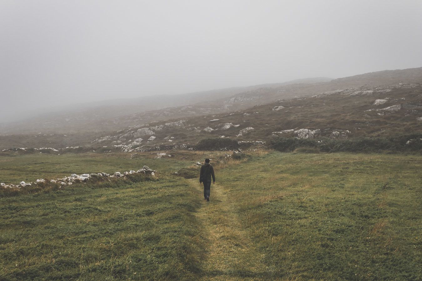 Marcher dans les champs de moutons en Irlande