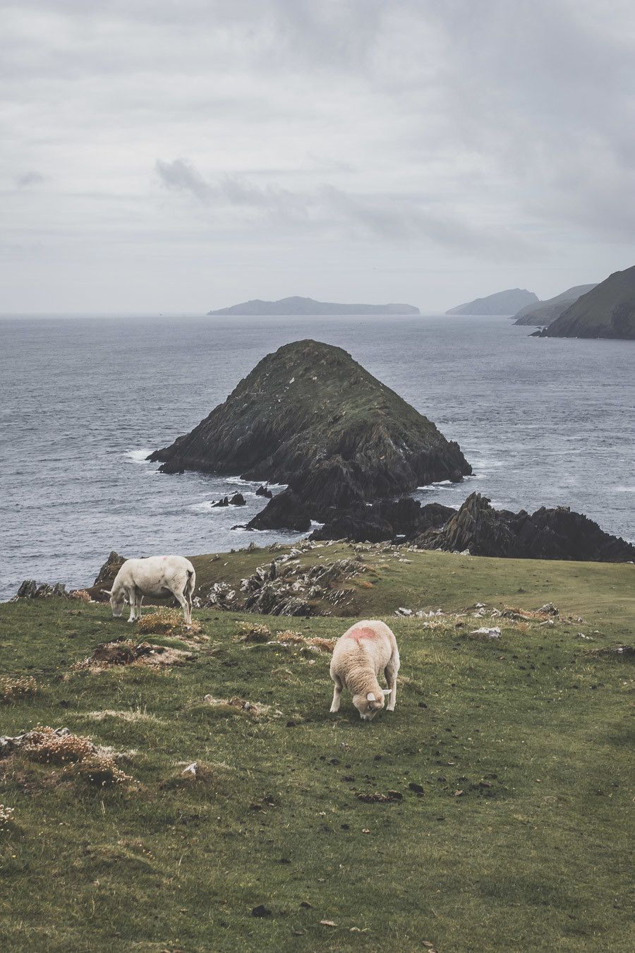 Récit de voyage dans le Kerry