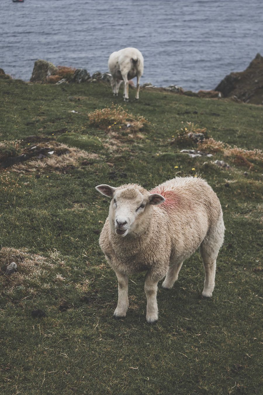 Blog voyage sur le comté de Kerry en Irlande