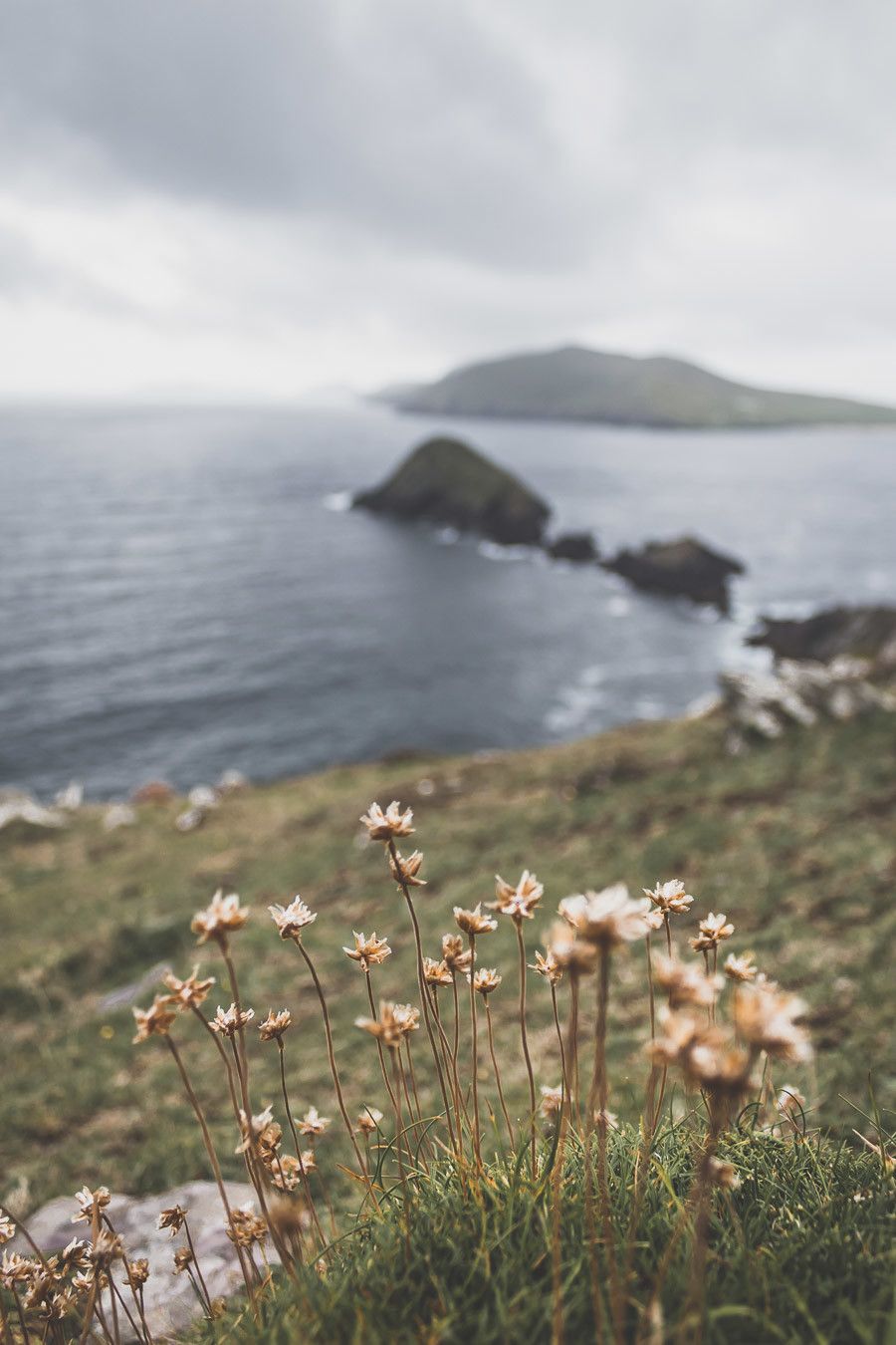 Dunmore Head dans le comté de Kerry un lieu incontournable