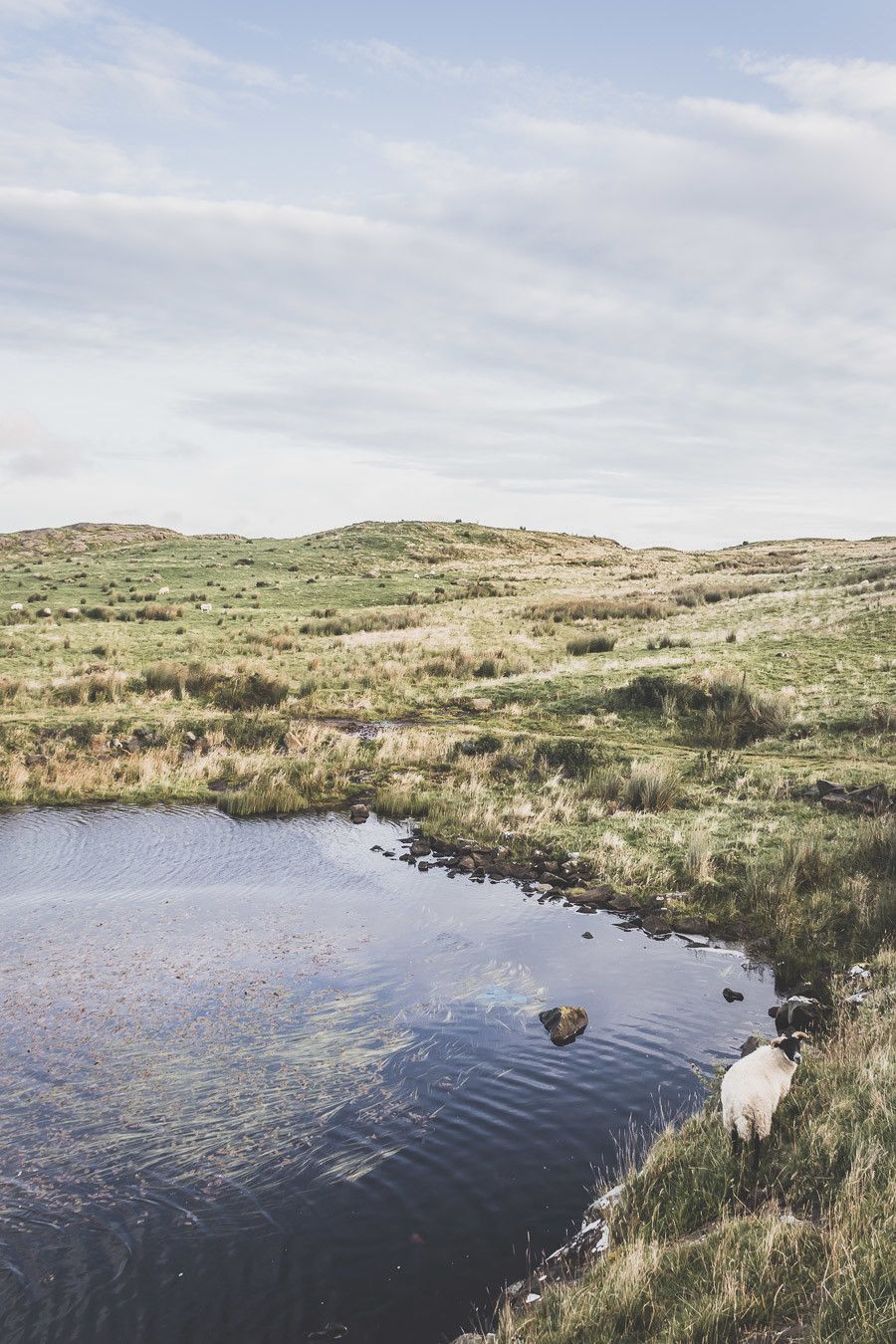 Vous ne connaissez pas encore l’Irlande-du-Nord ? Vous rêvez d’un voyage en Irlande-du-Nord ? Cet article est fait pour vous ! Il vous aidera à préparer votre road trip dans des lieux incroyables comme la Chaussée des Géants ou le pont Carrick-a-Rede. Vous découvrirez des lieux de tournage de Game of Thrones. Road trip Irlande / Irlande du Nord / Irlande voyage / Irlande paysage / Irlande road trip / Irlande du Nord voyage / Irlande du Nord paysage / Circuit Irlande du Nord / Game of Thrones