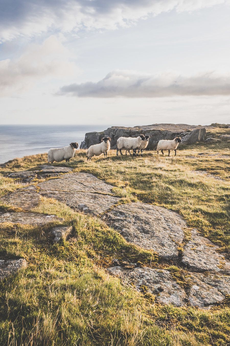 Vous ne connaissez pas encore l’Irlande-du-Nord ? Vous rêvez d’un voyage en Irlande-du-Nord ? Cet article est fait pour vous ! Il vous aidera à préparer votre road trip dans des lieux incroyables comme la Chaussée des Géants ou le pont Carrick-a-Rede. Vous découvrirez des lieux de tournage de Game of Thrones. Road trip Irlande / Irlande du Nord / Irlande voyage / Irlande paysage / Irlande road trip / Irlande du Nord voyage / Irlande du Nord paysage / Circuit Irlande du Nord / Game of Thrones