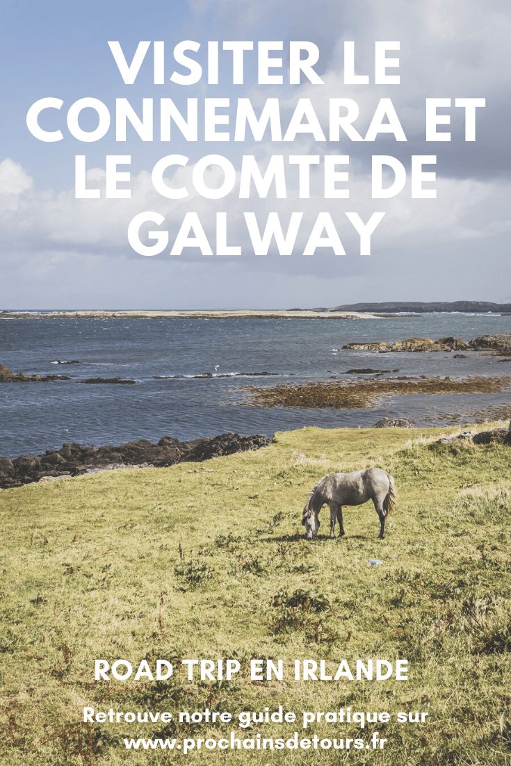 Vous souhaitez visiter le Connemara ? Découvrir la ville de Galway et ses alentours ? Ce guide est fait pour vous ! Il saura vous aiguiller / Irlande road trip / Road trip Irlande / Irlande paysage / Irlande voyage / Voyage Irlande / Irlande voyage / Voyage Irlande / Voyage en Irlande / Carnet de voyage en Irlande / Carnet voyage Irlande / Connemara Irlande / Connemara national park / Galway Ireland / Galway Irlande / Galway things to do