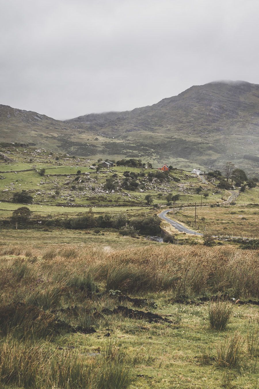 Road trip en Irlande sur les route du Healy Pass